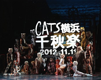 cats20121111_01.JPG